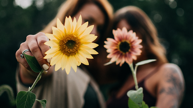 Amizade Que Floresce Duas mulheres seguram flores amarelas e rosadas, simbolizando a amizade e a ligação feminina, com foco nas flores e fundo desfocado.