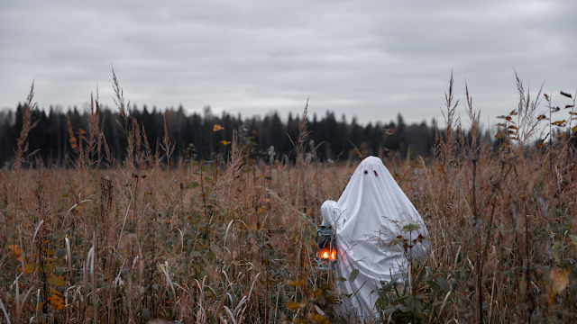 Fantasma no campo: o espírito do Halloween em plena natureza Pessoa disfarçada de fantasma com lençol branco e lanterna na mão, de pé num campo alto de ervas secas, num cenário outonal e sombrio.