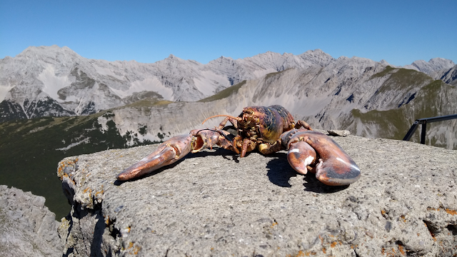 Lagosta na montanha: tudo é uma questão de perspetiva Lagosta sobre uma rocha no topo de uma montanha com paisagem alpina ao fundo, simbolizando a importância da perspectiva na vida