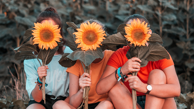 A Beleza por Trás das Flores. Três jovens sentadas lado a lado num campo, escondendo os rostos com grandes girassóis abertos. Elas vestem t-shirts coloridas (azul claro, amarelo e laranja) e usam pulseiras e um relógio. O fundo é composto pela folhagem verde e desfocada do campo de girassóis, criando uma atmosfera de verão e amizade.