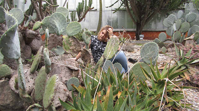 Entre cactos e reflexões pessoais Mulher sentada num jardim de cactos, em momento de introspeção, simbolizando superação e novos recomeços.
